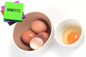 benefícios dos Ovos para a sua saúde